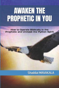 Awaken the Prophetic in You