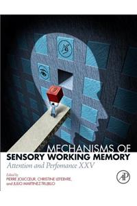 Mechanisms of Sensory Working Memory