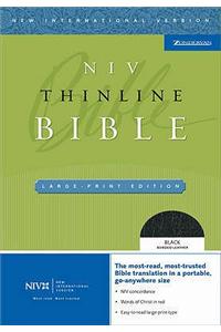 NIV Thinline Large Print