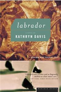 Labrador