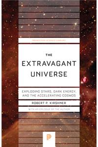 The Extravagant Universe