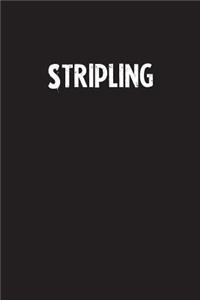 Stripling