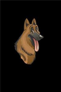 German Shepherd dog