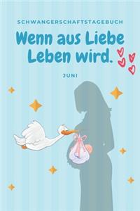 Schwangerschaftstagebuch - Wenn aus Liebe Leben wird. Juni