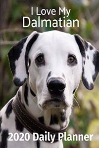I Love My Dalmatian