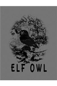 Elf Owl