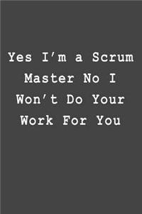 Yes I'm a Scrum Master No I Won't Do Your Work For You