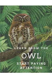 Learn from the OWL Start Paying Attention
