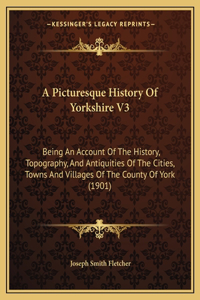 Picturesque History Of Yorkshire V3