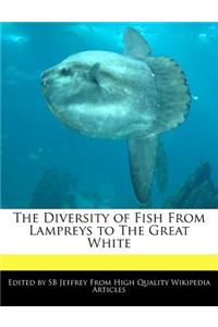 The Diversity of Fish from Lampreys to the Great White