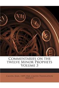 Commentaries on the twelve Minor Prophets Volume 3