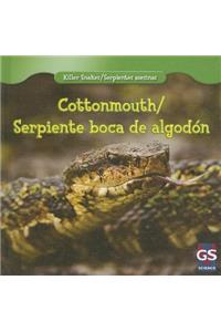 Cottonmouth / Serpiente Boca de Algodón