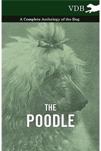 The Poodle - A Complete Anthology of the Dog
