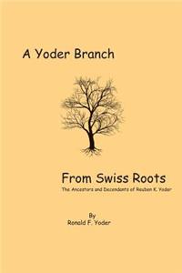 Yoder Branch From Swiss Roots