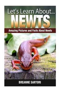 Newts: Amazing Pictures and Facts about Newts