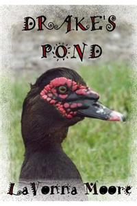 Drake's Pond