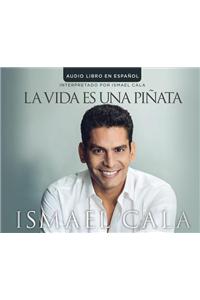 La Vida Es Una Pinata (Life Is a Pinata)