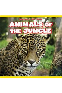 Animals of the Jungle