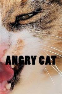 Angry Cat