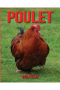 Poulet