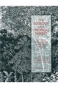 The Ecology of a Tropical Forest