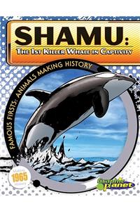 Shamu: 1st Killer Whale in Captivity
