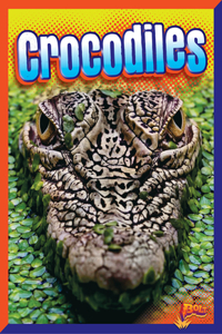 Crocodiles