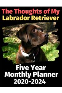 The Thoughts of My Labrador Retriever