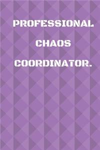 Professional Chaos Coordinator.