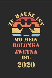 Bolonka Zwetna 2020