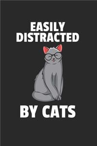 Katze Kätzchen Notizbuch