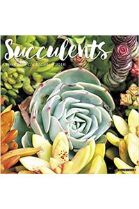 Succulents 2018 Calendar
