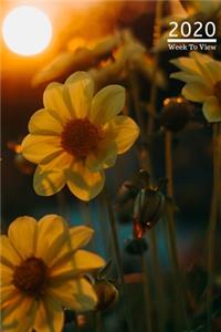 A5 2020 Diary Week To View Paperback Cover With Alternative Design -