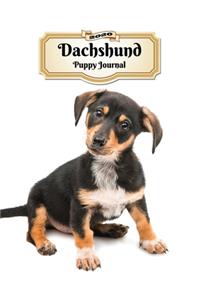 2020 Dachshund Puppy Journal: Weekly Planner - 12 Months - 107 pages 8.5 x 11 in. - Calendar - Diary - Organizer - Vaccinations - Vet Appointments - Half Spread Wide Ruled Pages