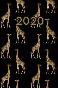 2020