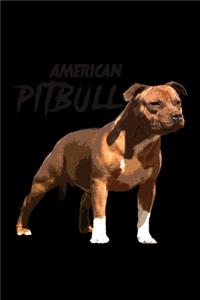 American Pitbull