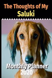 The Thoughts of My Saluki