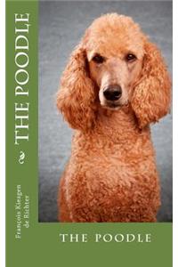poodle