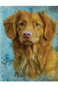 Cute Toller Tolling Retriever Dog Composition Notebook, Blank Sketch Paper
