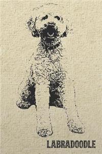 Labradoodle Notebook