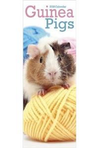 Guinea Pigs Slim Calendar 2018