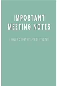 Important Meeting Notes I Will Forget in Like 5 Minutes