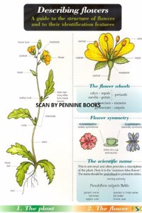 Describing Flowers