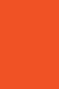 Orange 190 - Cornell Notes Notebook