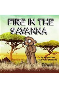 Fire in the Savanna