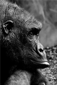 Thoughtful Gorilla Notebook