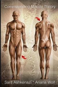 Corresponding Muscle Theory