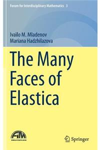 Many Faces of Elastica