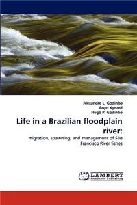 Life in a Brazilian floodplain river