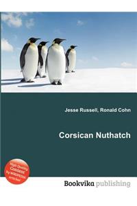 Corsican Nuthatch